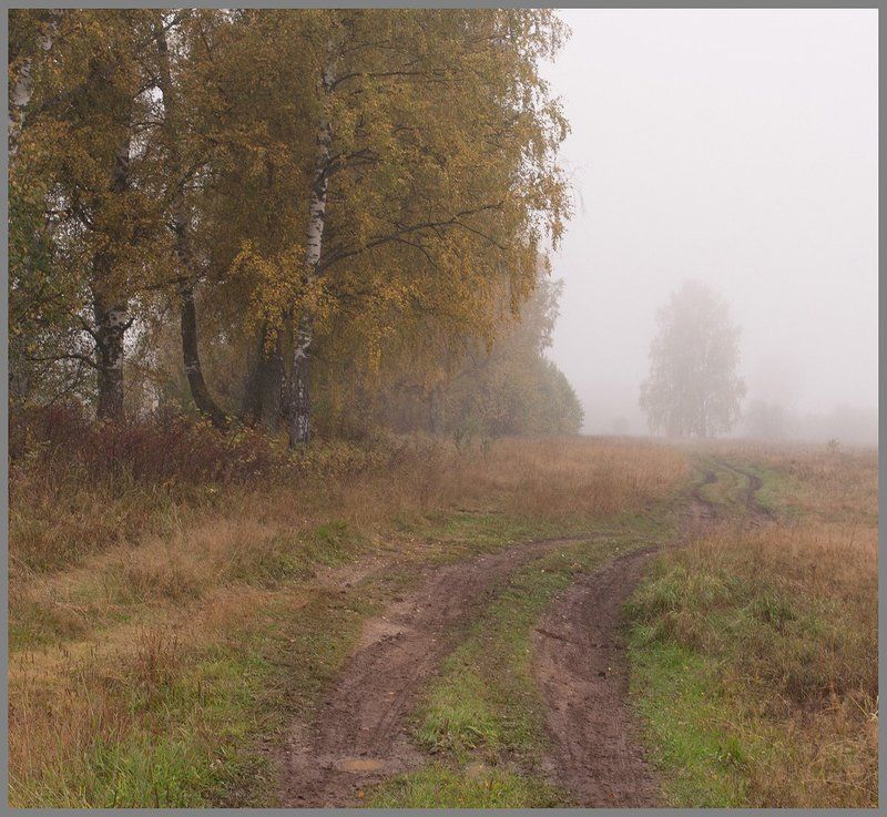 *******photo preview