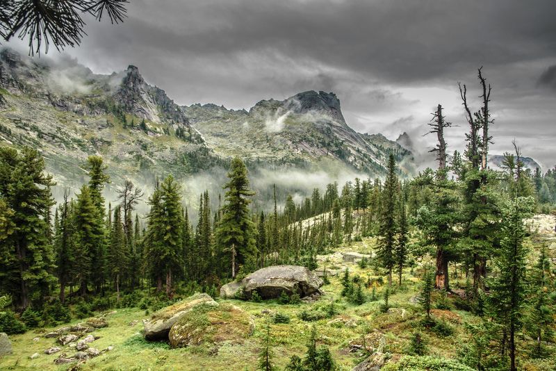 заколдованный лесphoto preview