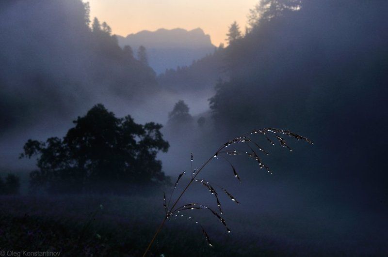 Morning\'s Silverphoto preview