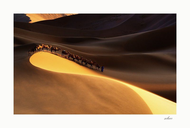 china Long journyphoto preview