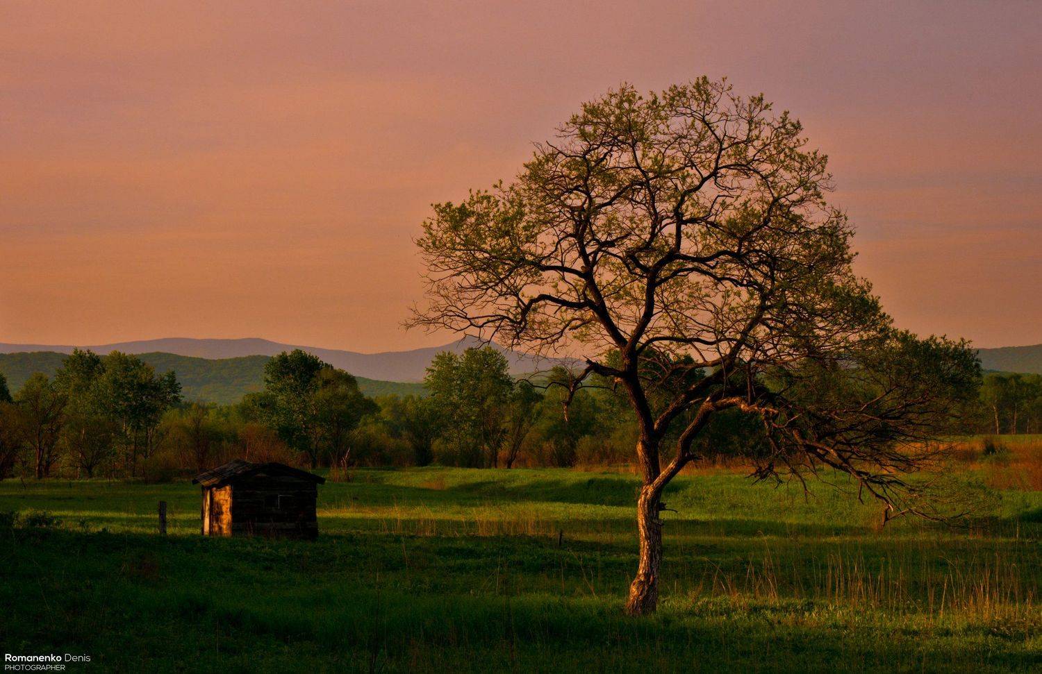 Краски утреннего света.. Автор: Романенко Денис , Романенко Денис