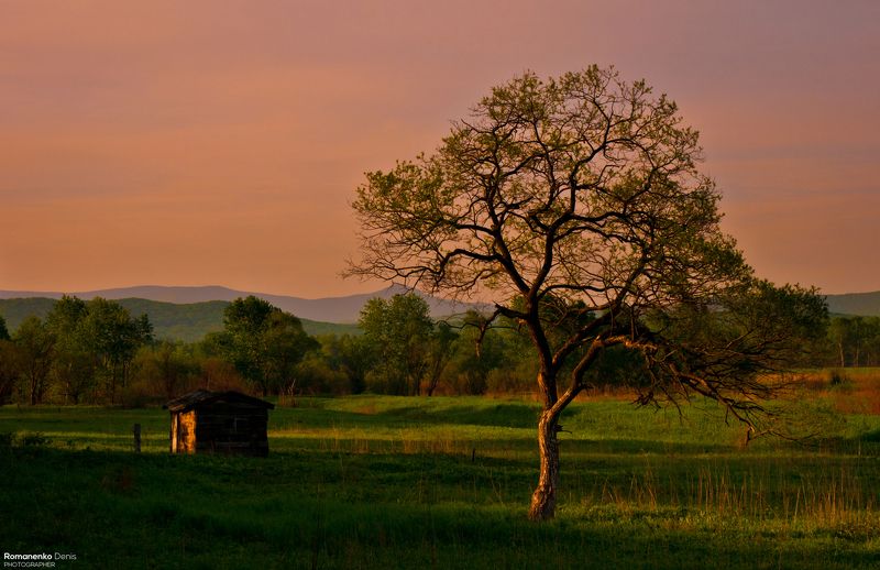 Краски утреннего света.photo preview