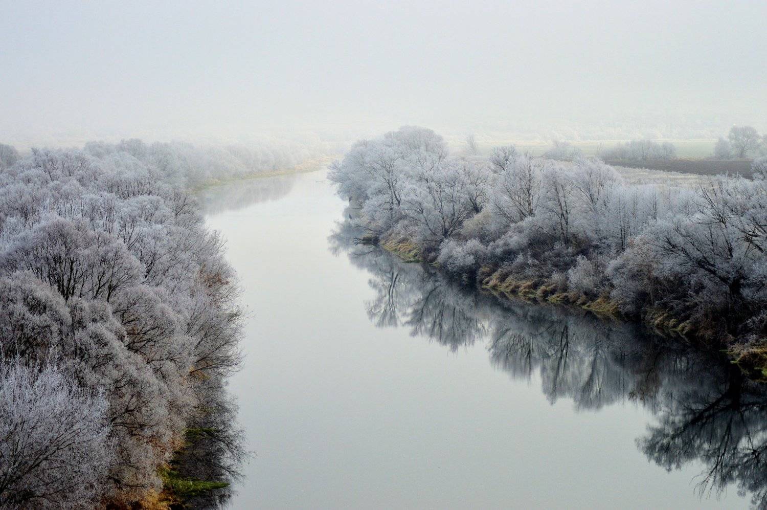 Туманное далеко. Автор: Светлана Рослякова , Светлана Рослякова