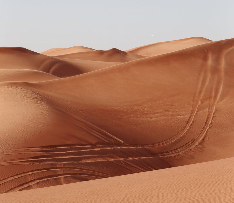 Анатомия, Дорога, Пустыня Анатомия пустыниphoto preview