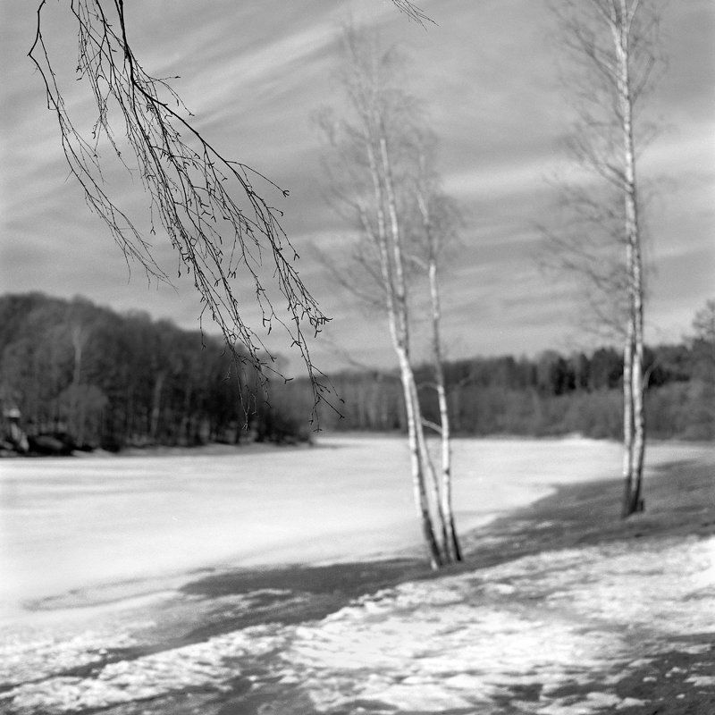 Весна., Пейзаж., Солнце. \