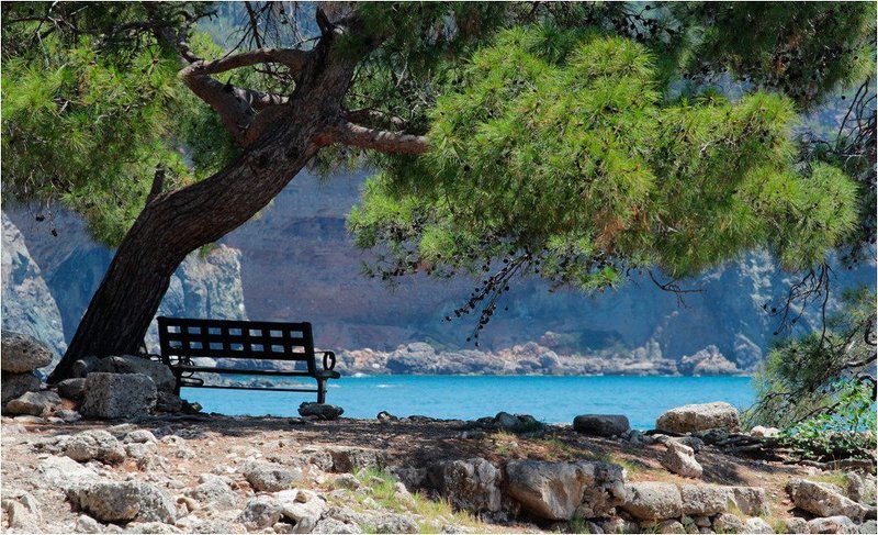 ах какая дзэнщинаphoto preview