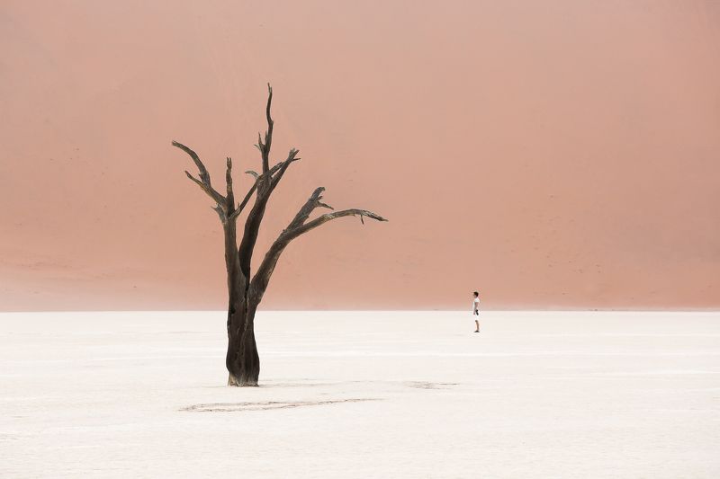 про бренность...photo preview