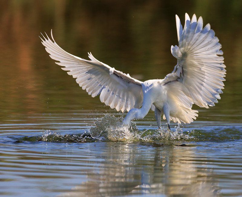 мастер класс по ловле рыбы.photo preview