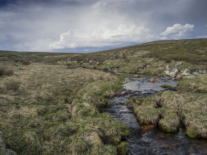 Алтай Горный Алтай. Плато Ештыколь.photo preview