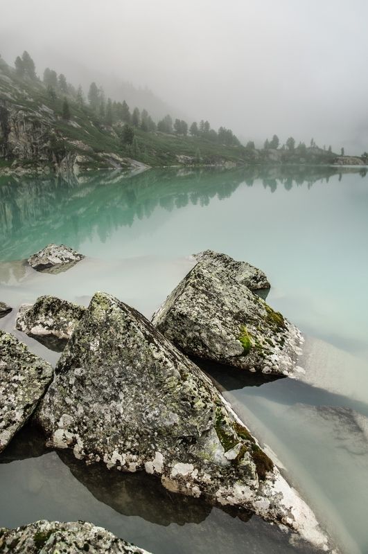 застывшие в изумрудной водеphoto preview