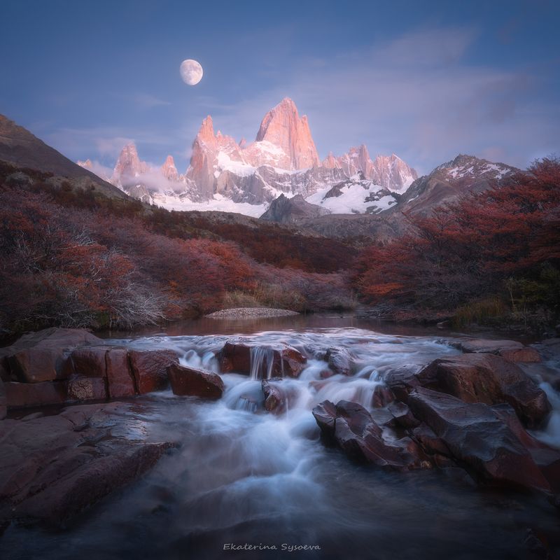 Фитц Ройphoto preview