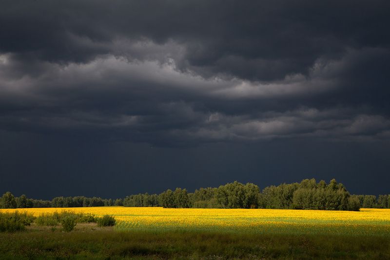 Августphoto preview