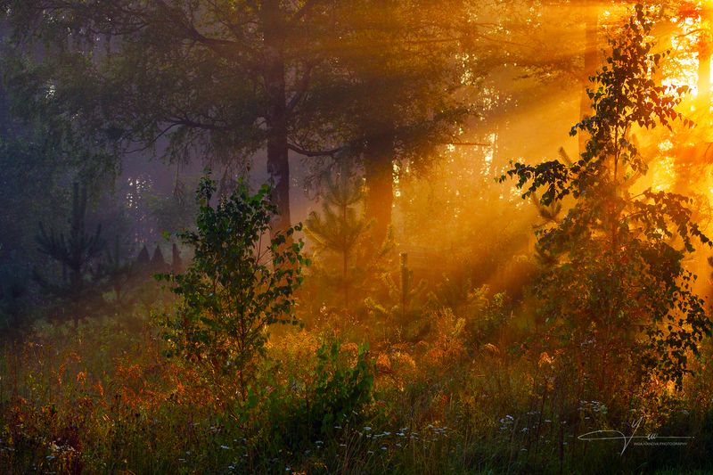 August has arrived in Latgale too 2025photo preview