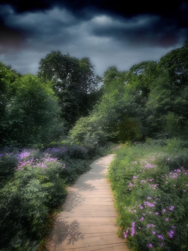 пейзаж, landscape, nature, природа, лето, summer, цветы, flowers ***photo preview