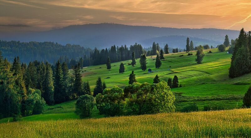 Fields of goldphoto preview