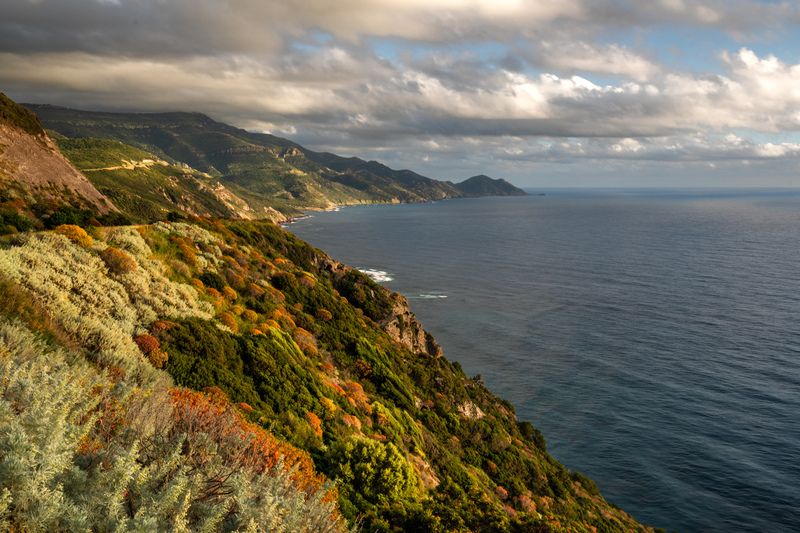 Sardiniaphoto preview