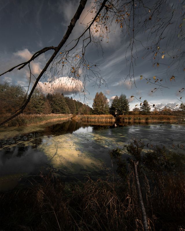 Осенью на копанкеphoto preview