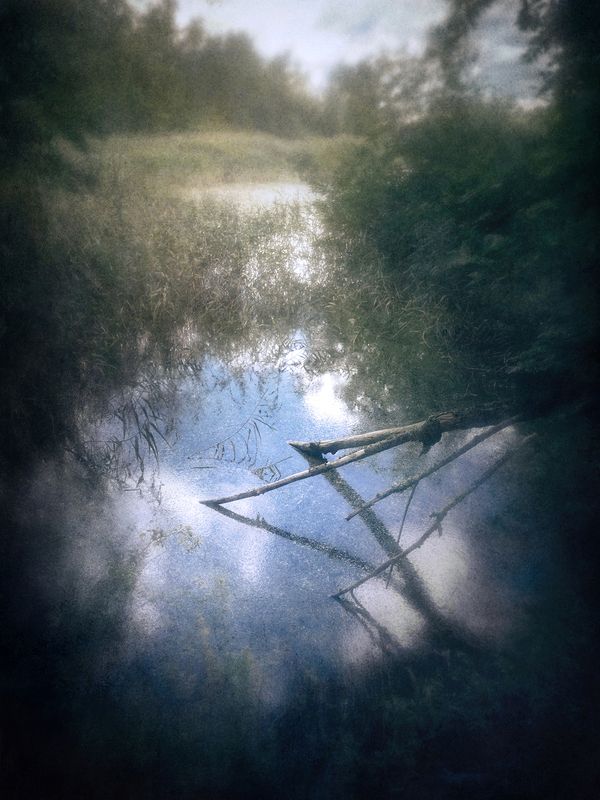 пикториализм, импрессионизм, лес Небо в ловушке.photo preview
