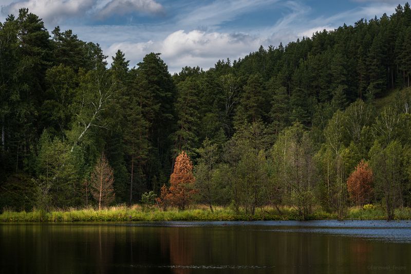 пейзаж, россия, урал, тайга, пруд, лес Таежный прудphoto preview
