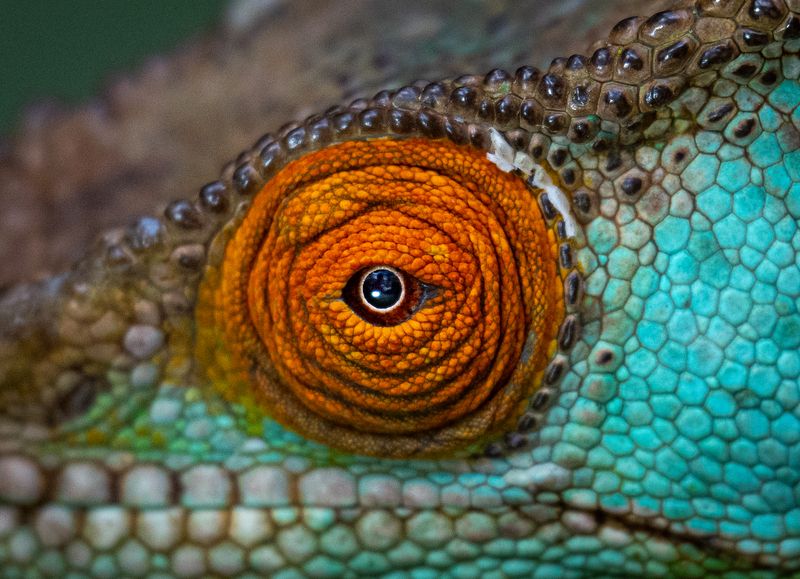 Мадагаскар photo preview