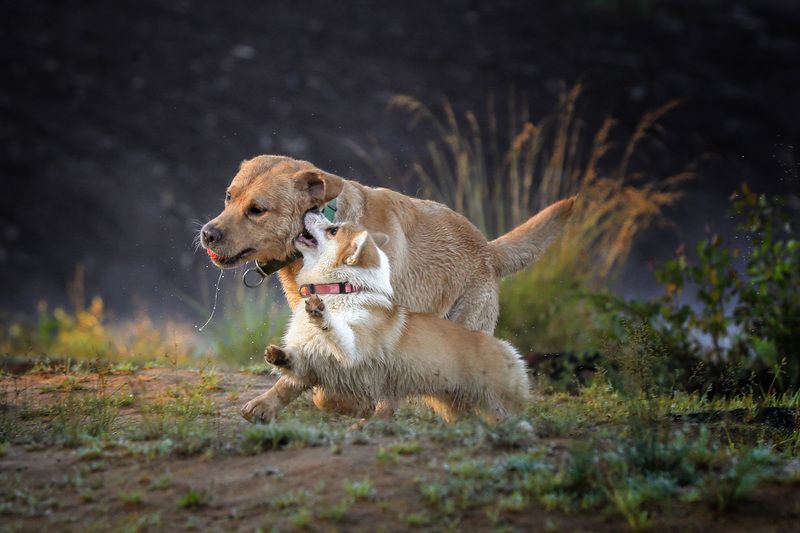 Постой, я расскажу тебе секретphoto preview