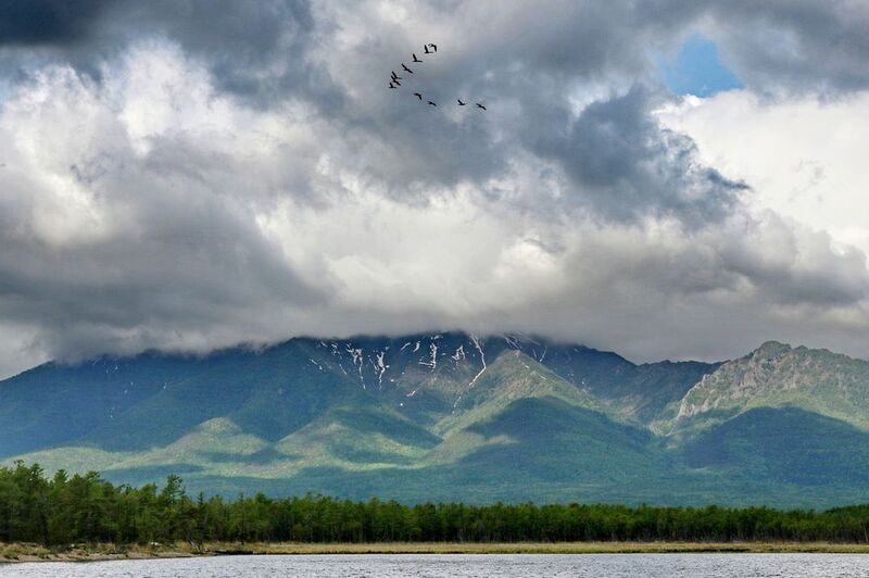 Летят утки...photo preview