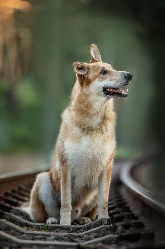 Наянphoto preview