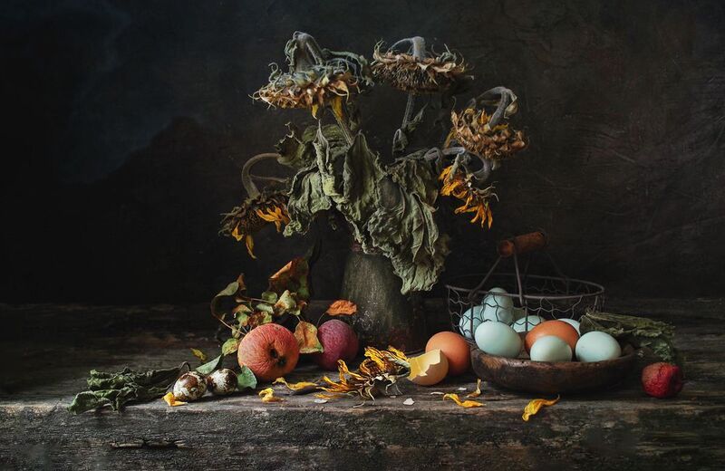 Жизненная эволюция в своем разнообразии...photo preview