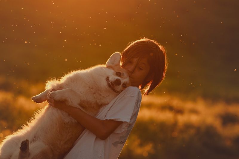 Летним вечеромphoto preview