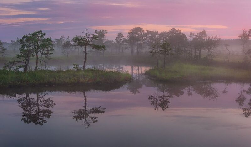 Утреннее зеркало природыphoto preview