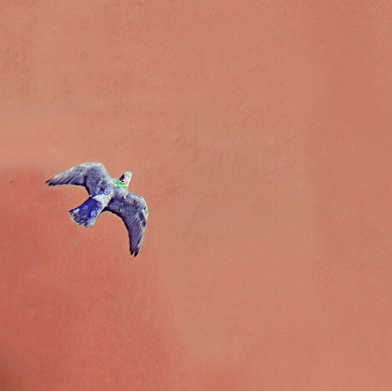 Городской минимализмphoto preview