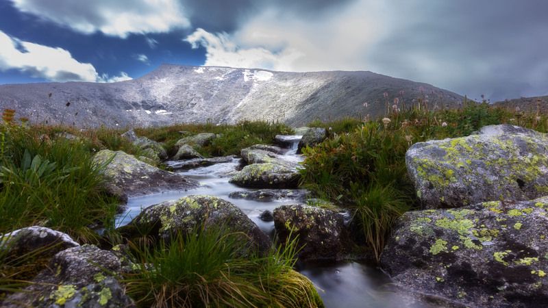 Последний ручей перед перевалом. Наглядно видна граница между зонами жизни и камней.photo preview