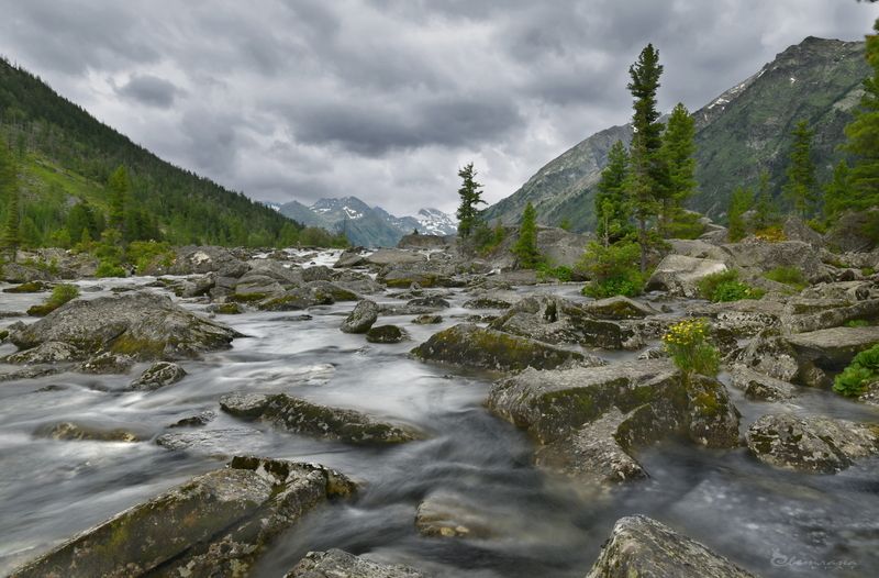 Летний Алтайphoto preview