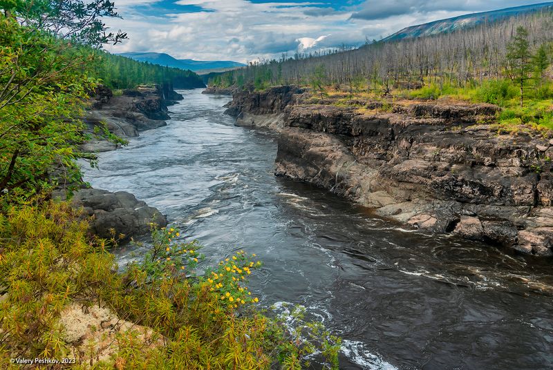 река курейка, каньон, плато путораны, скалы, пороги, лиственницы, владимир коваль Каньон Курейкиphoto preview