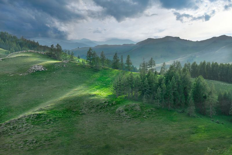 Летний Алтайphoto preview