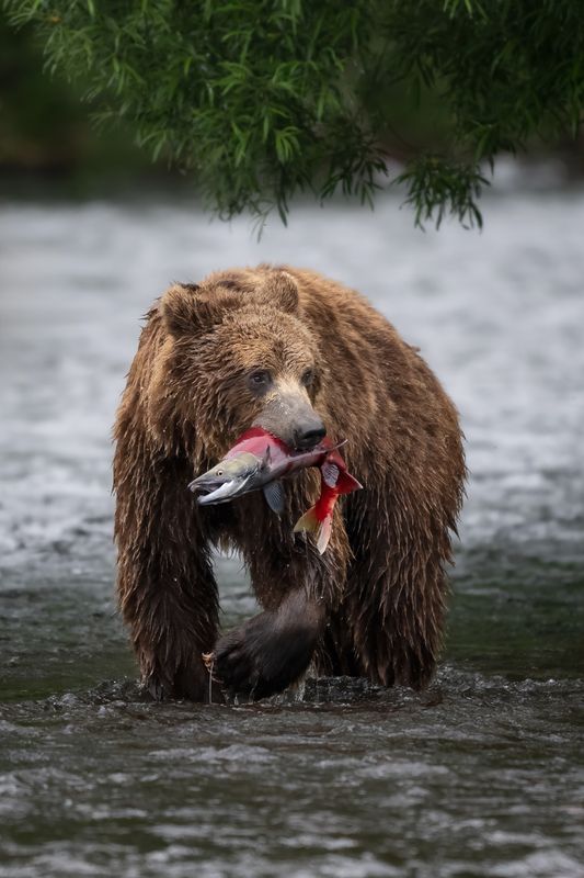 Удачливый рыбакphoto preview