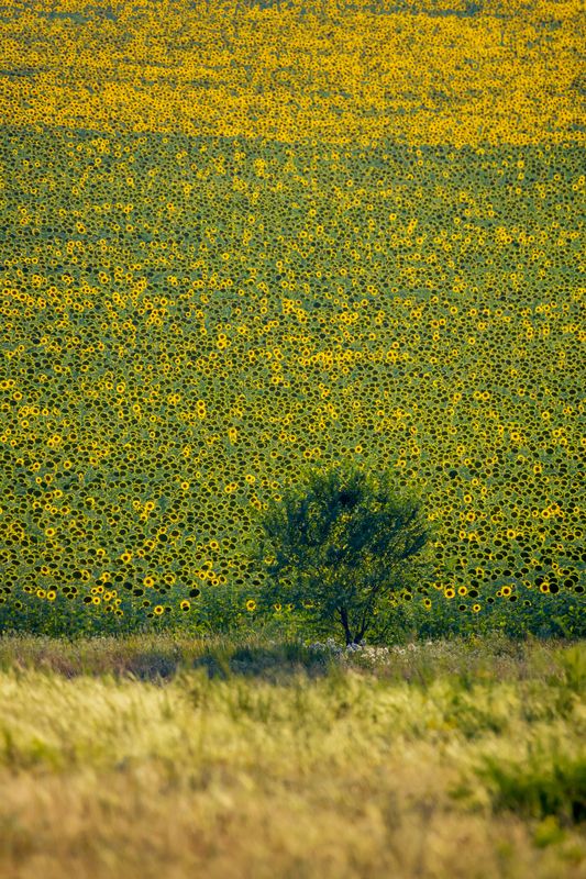 Средь миллионов...photo preview