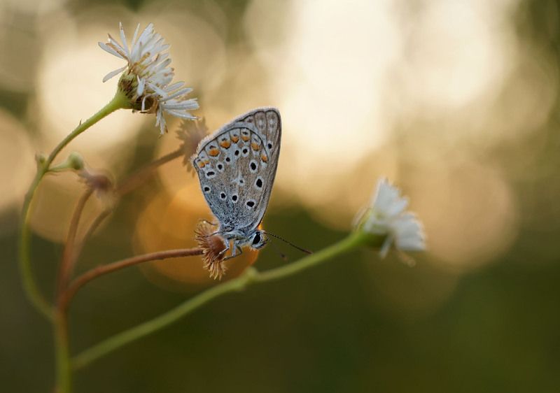 Рассветphoto preview
