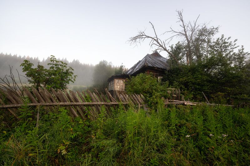 пермский край, пейзаж, рассвет, красота природы, поле, лето, река, природа, дикая природа, койва, лес, усть-койва Забвение фото превью