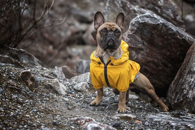 Нильсphoto preview