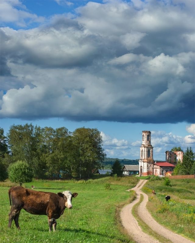 Деревня Новинкаphoto preview