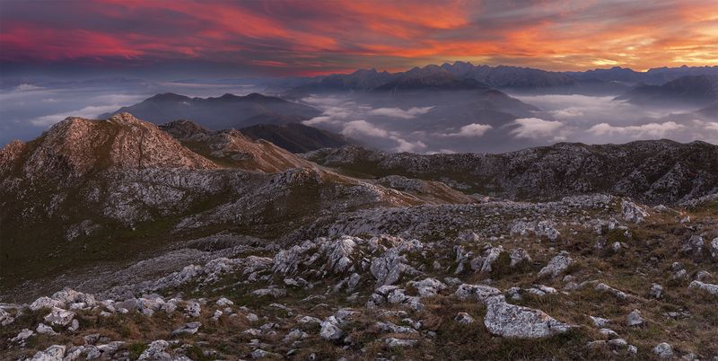 photo, photography, picture, land, landscape, nature, spring, river, color, mood , colorful, green, river,animal, flowing, forest, mountains Sunless realmphoto preview