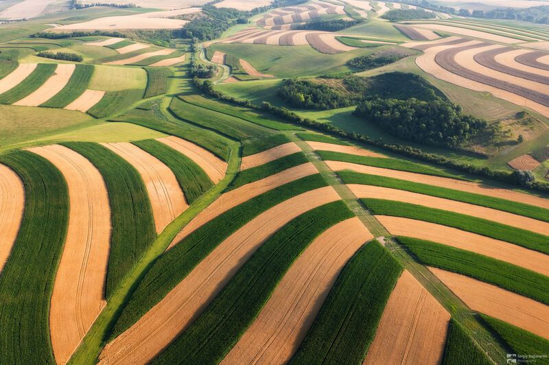 Art of Fieldsphoto preview