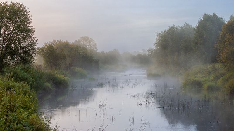 Туман на реке Большой Югphoto preview