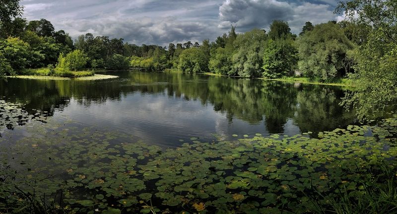 В Серебряном боруphoto preview