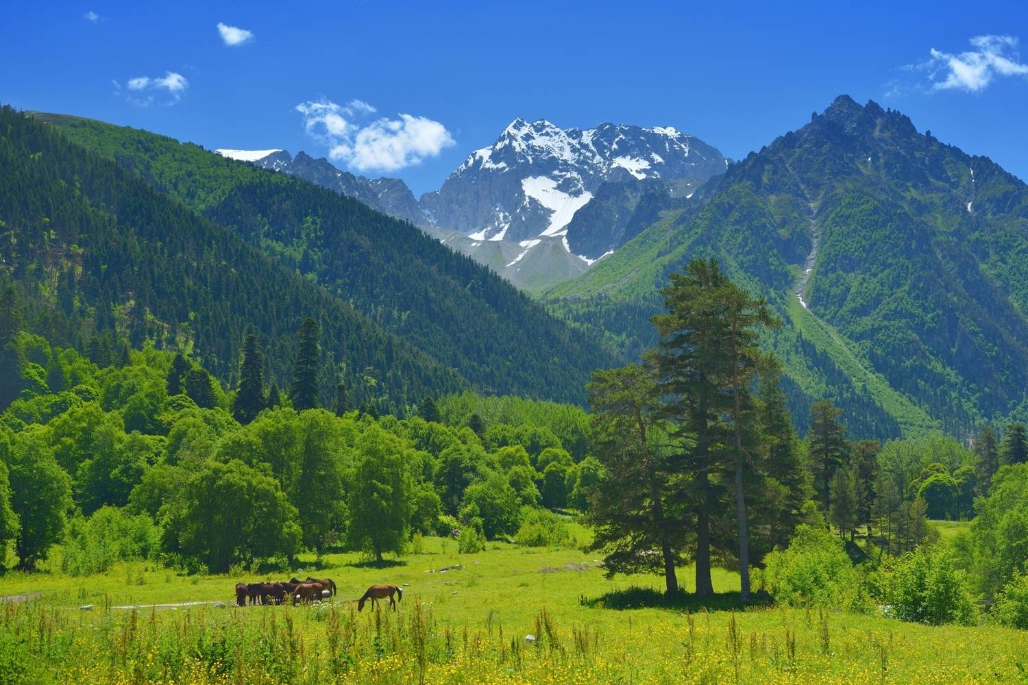 Лето в горах Кавказа,Аксаут. Автор: Александр Жарников горы лето кавказ аксаут, Александр Жарников