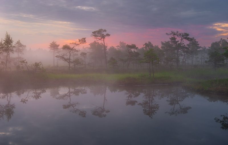 Туманные сказки photo preview