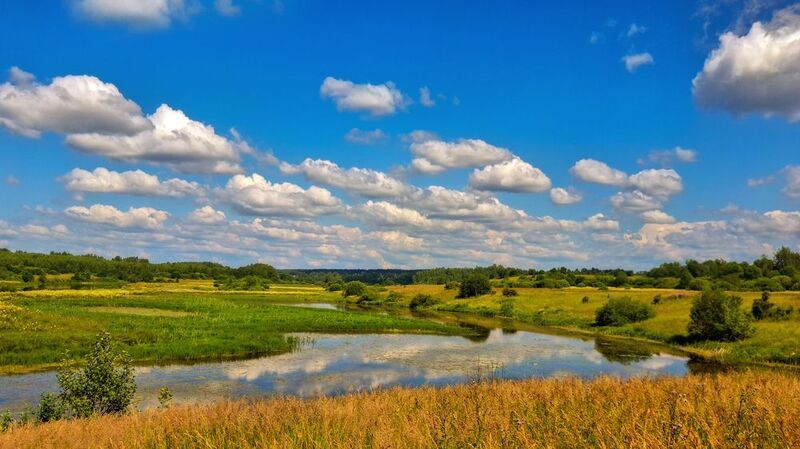 Костромской крайphoto preview