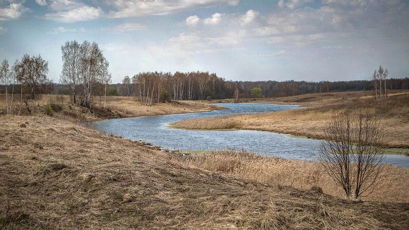 Попутноеphoto preview