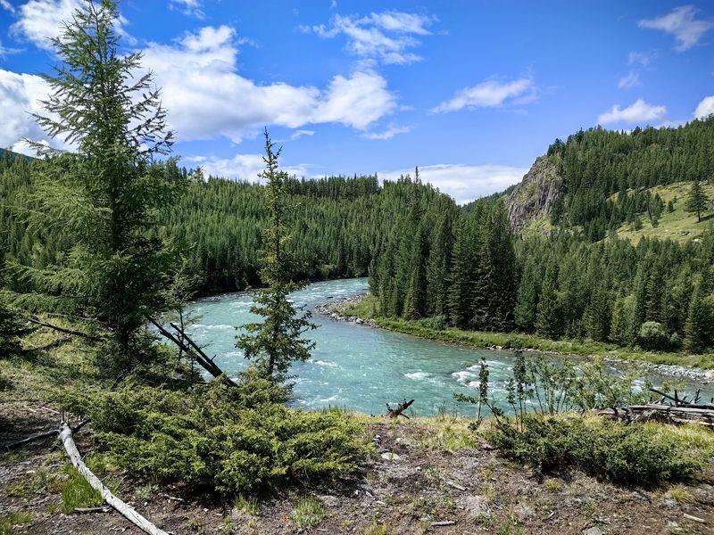 природа,алтай,река коксу,пейзаж Алтайский пейзажphoto preview